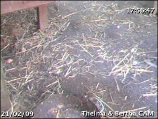 Camera Image